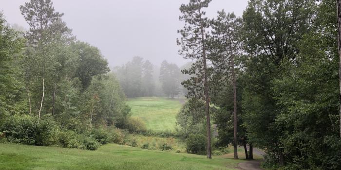 Emily Greens: Course Review