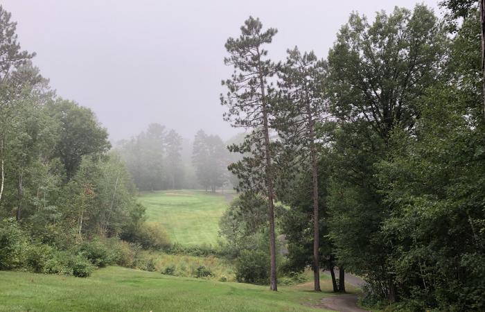 Emily Greens: Course Review